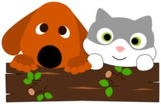 Puppy and kitten