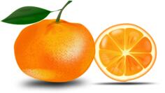 Orange and a slice
