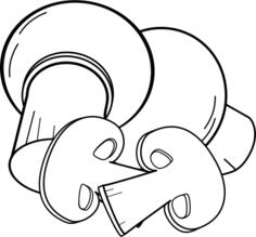 Champignons
