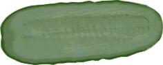 Fresh cucumber slice