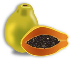 Papaya fruit