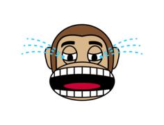 Monkey crying