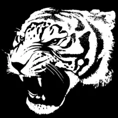 Tiger silhouette