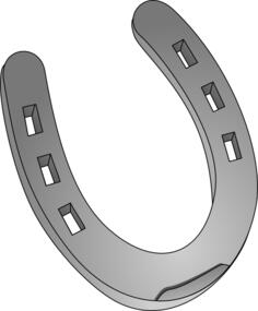 Silver horseshoe