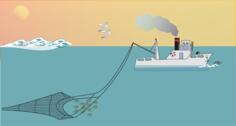 Small fishing boat