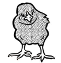 Colorless chicken