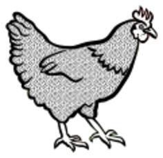 Hen