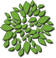 Green leaves