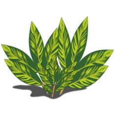 Sun-kissed leaves