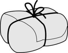 Wrapped package