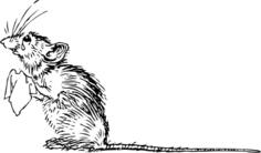 Sad mouse