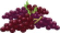 Bunch of grapes