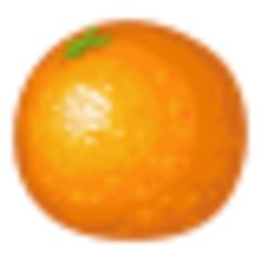 Fresh orange fruit