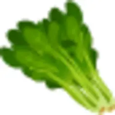 Spinach