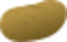 Potato
