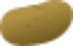Potato