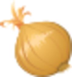 Onion