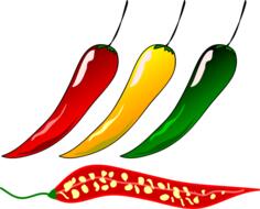 Chilli pepper