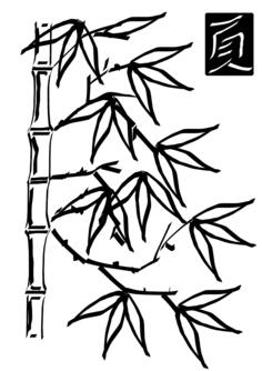 Bamboo