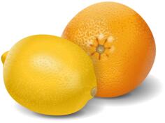 Lemon and orange