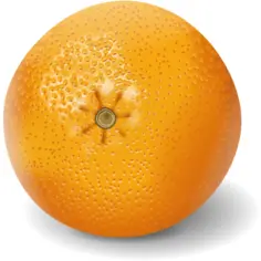 Orange fruit clip art