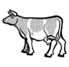 Cow image from coloring book