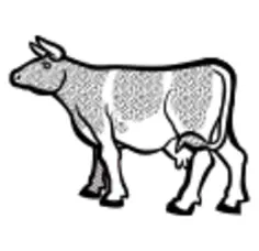 Cow image from coloring book
