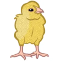 Colored chicken