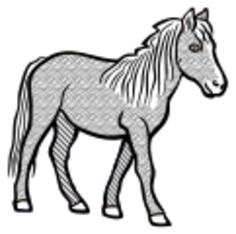 Pony image