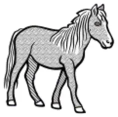 Pony image