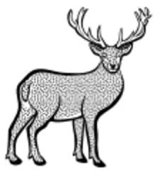 Deer from coloring book