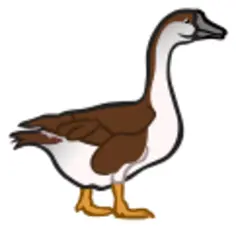 Goose clip art