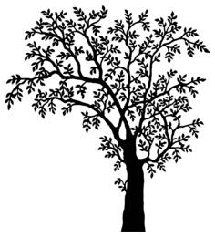 Tree silhouette
