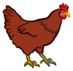 Red hen