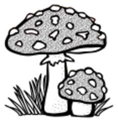 Toadstool