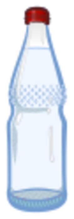 Plastic bottle