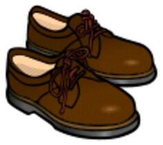 Brown shoes