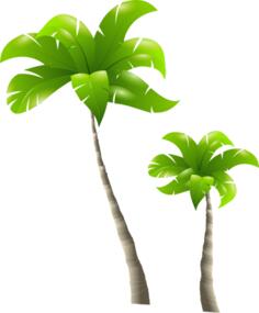 Two palms