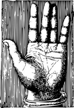 Palm of the hand