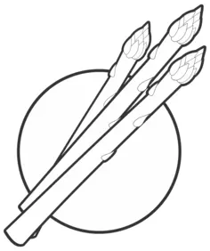 Asparagus outline