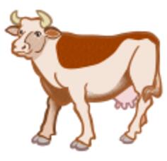Brown cow