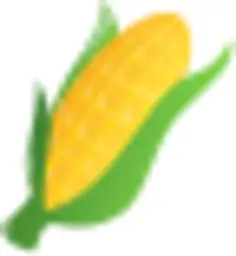 Corn on the cob 2