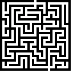 The maze