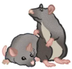 Mice