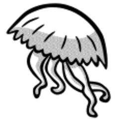Jellyfish