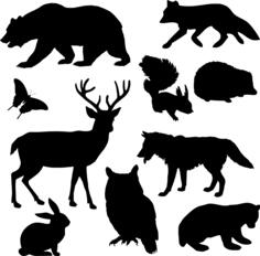 Silhouette of wild animals