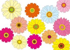 Multicolored flowers