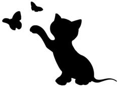Kitten and butterflies