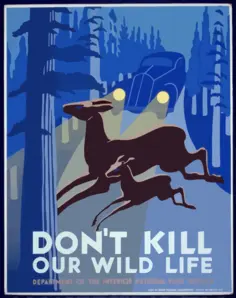 Vintage Poster Promoting Wildlife Preservation