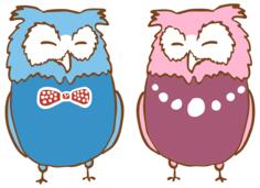 Pair of owls